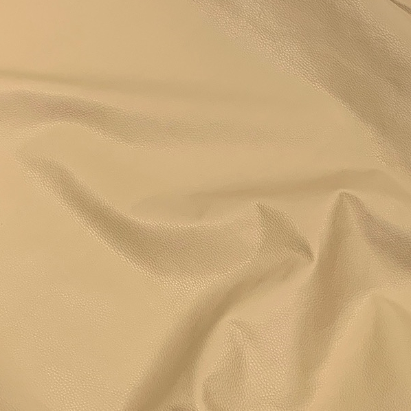 Hampton Camel