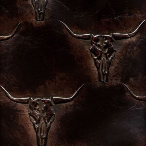 Skulls #02 Brown Bronze